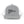 VS Logo Trucker Cap